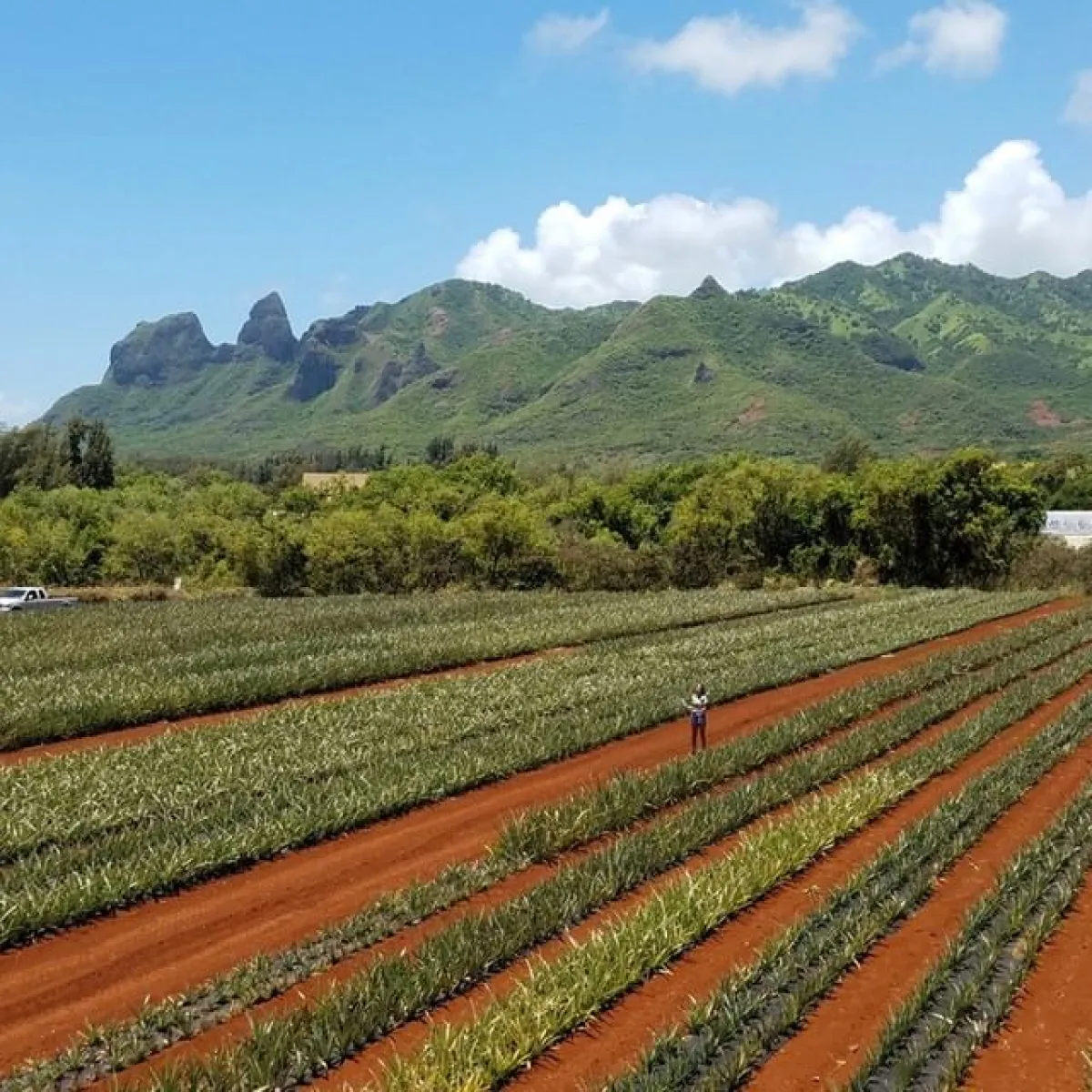 a group of people on a train track with a mountain in the background